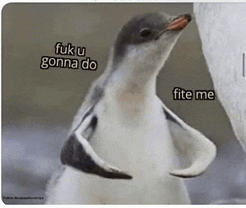 a picture of a penguin with a caption that says fuk u gonna do
