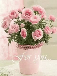 For You Roses GIF - For You Roses Pink GIFs