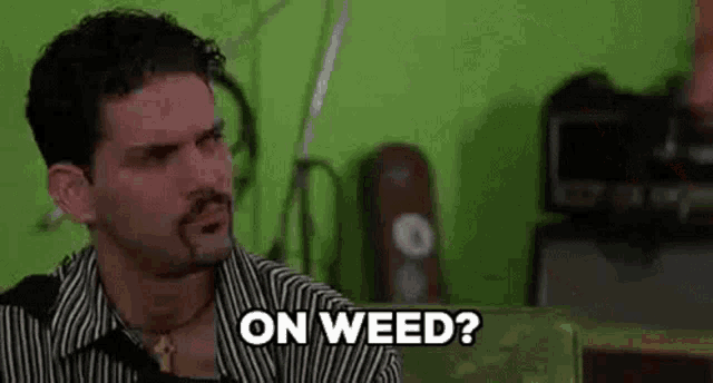 a man with a beard and mustache is sitting on a couch and saying `` on weed '' .