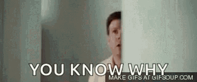 You Know Why Junk GIF - You Know Why Junk Punch GIFs