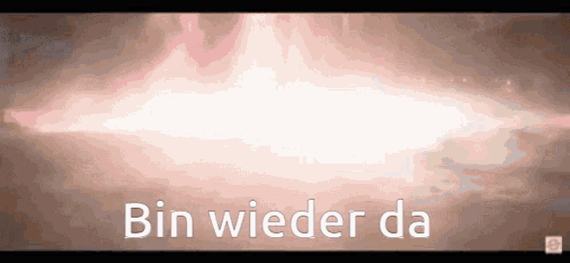 the word bin is on a pink background
