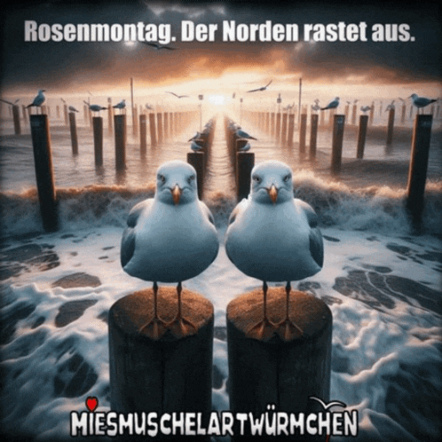 a couple of seagulls standing on a wooden post with the words rosenmontag der norden rastet aus