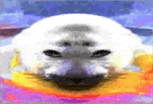 a close up of a seal 's face with a rainbow background