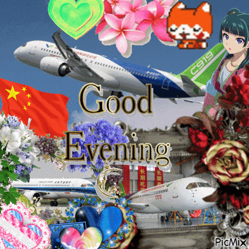 a collage of flowers and planes with the words good evening