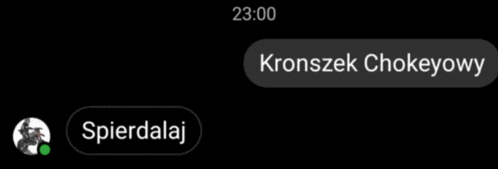a screenshot of a text that says kronszek chokeyowy and spierdalaj