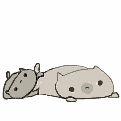 two cats are laying on top of each other on a white surface .