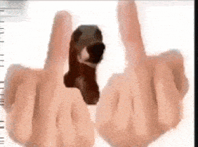 a person is holding a stuffed animal in their hand and giving the middle finger .