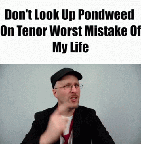 Pondweed Tenor GIF - Pondweed Tenor Dont Look Up GIFs