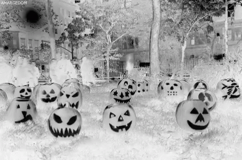 Flashing GIF - Pumpkins Halloween Creepy GIFs