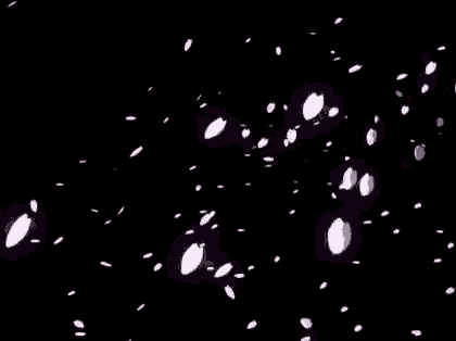 cherry blossom petals falling on a black background .