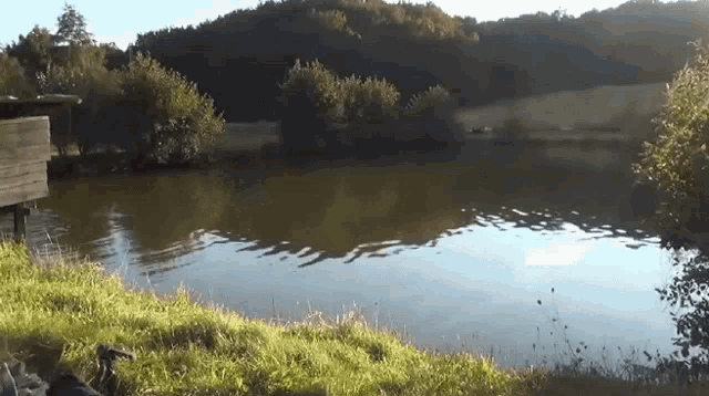 a body of water with trees in the background