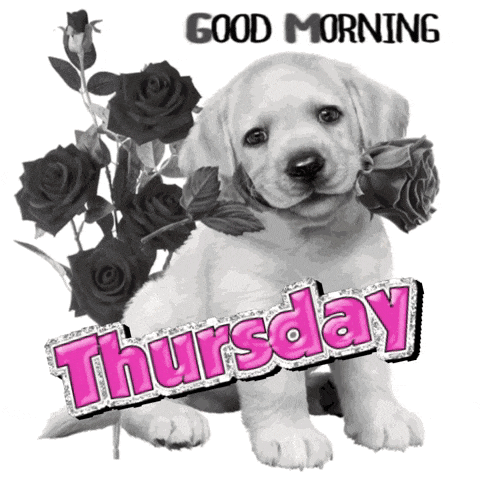 a puppy with black roses and the words thursday