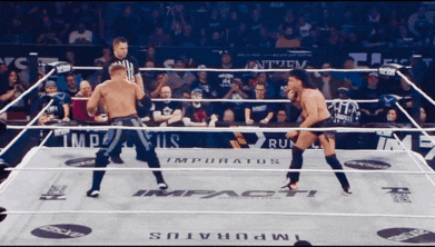 two wrestlers are in a ring with the word impact on the floor
