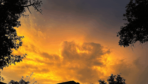a sunset with trees in the foreground and a few clouds in the background