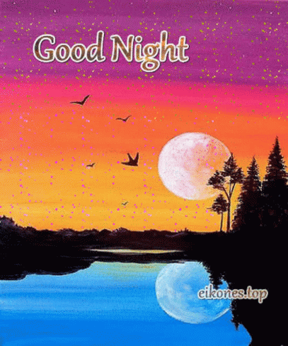 Good Night Birds GIF - Good Night Birds Trees GIFs