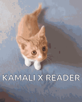 Kamali Salem GIF - Kamali Salem When I Catch You GIFs
