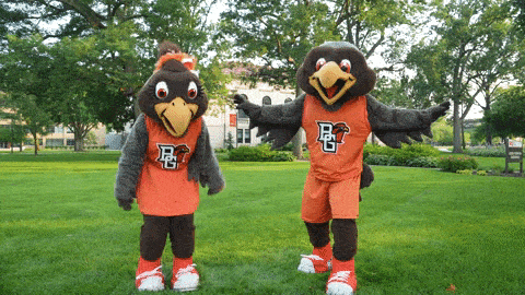 a couple of mascots with the letter b on their outfits