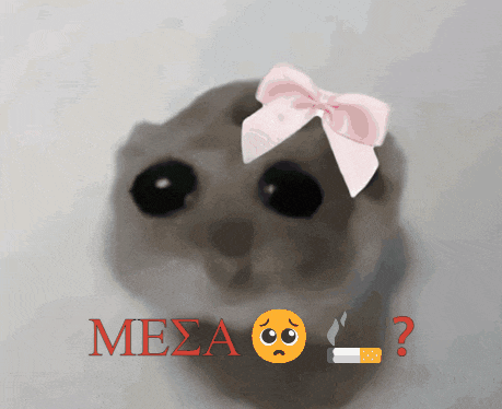 a cat with a pink bow on its head and a cigarette next to it with the word mesa written in red