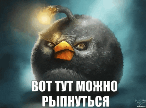 a painting of an angry bird with the words bot tut можно рыпнуться