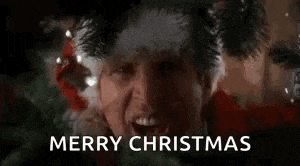 a man in a santa hat is holding a glass of wine and saying merry christmas .