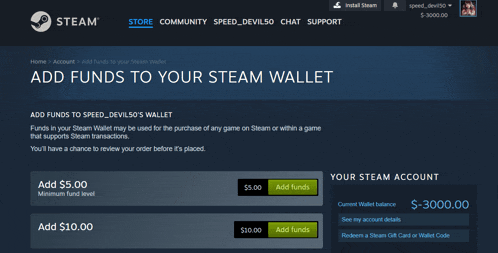 a screenshot of the add funds page on steam