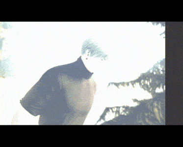 a man in a black turtleneck stands in front of trees