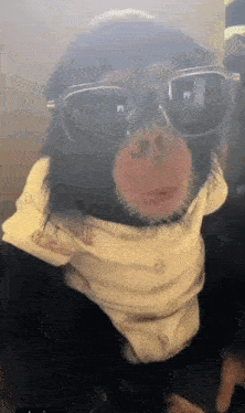 a chimpanzee wearing sunglasses and a scarf around his neck .