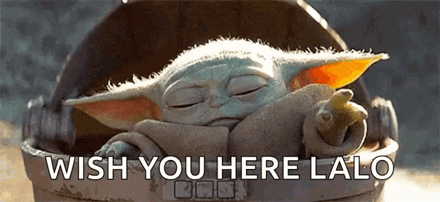 the baby yoda from star wars is sleeping in a bucket .