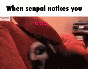 Dog When Senpai Notices You GIF - Dog When Senpai Notices You Omg GIFs
