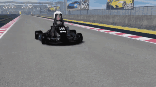 a girl in a go kart with the number 166 on the front