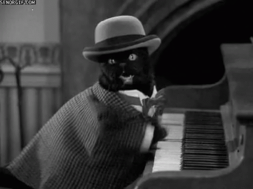 Black Cat Playing Piano GIF - Black Cat Playing Piano Hat GIFs