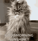 Have A Great Day Have A Good Day GIF - Have A Great Day Have A Good Day GIFs