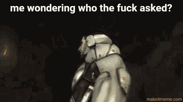 a screenshot of a video game with the words me wondering who the fuck asked