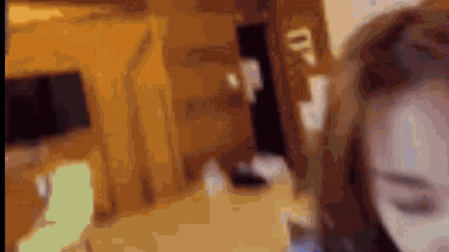 a blurry picture of a woman in a room