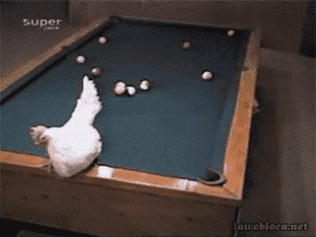 a pool table with a chicken on it and the words super on the bottom