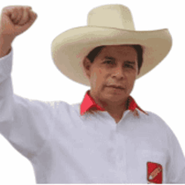 a man wearing a cowboy hat and a white shirt is holding his fist up in the air .