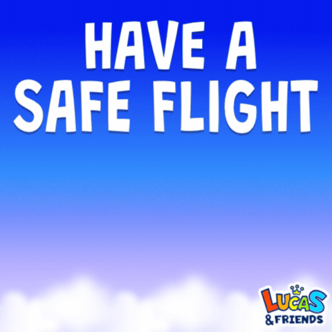 Safe Travels Travel Safe GIF - Safe Travels Travel Safe Safe Flight GIFs