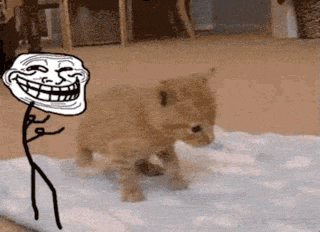 a troll face is next to a kitten on a rug .