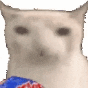 a white cat is looking at the camera while holding a blue and red object .