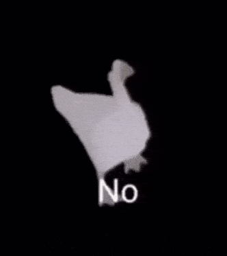 a white duck is standing in front of a black background with the word no written on it .