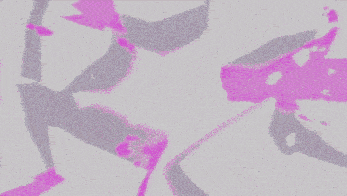 a pink and white background with a butterfly flying through the air