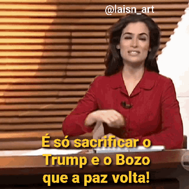 Renata Vasconcellos Meme GIF