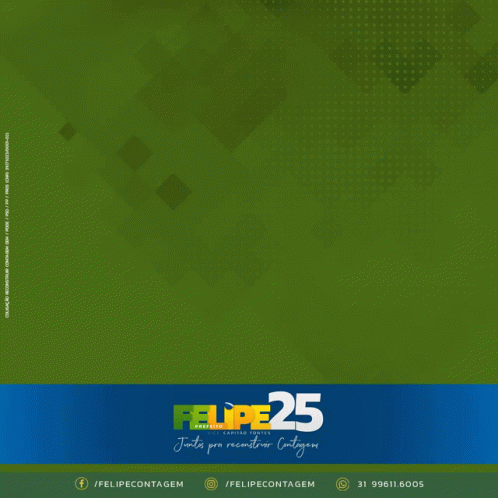 F25 Felipesaliba GIF - F25 Felipesaliba Felipecontagem GIFs