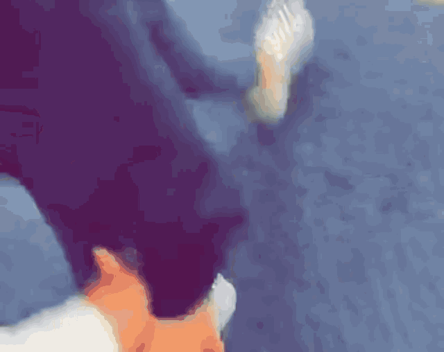 a person is holding a cat 's paw while walking on a carpet .