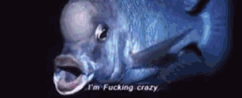 a close up of a fish with the words `` i 'm fucking crazy '' written on it .