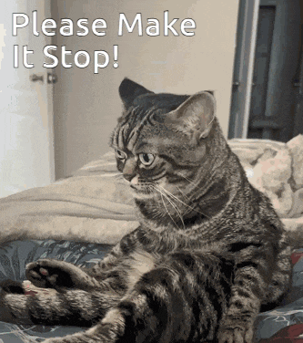 a cat is laying on a bed with the words please make it stop written above it