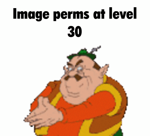 a cartoon character with the words image perms at level 30 on the bottom