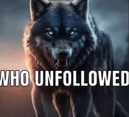 Who Unfollowed GIF - Who Unfollowed GIFs