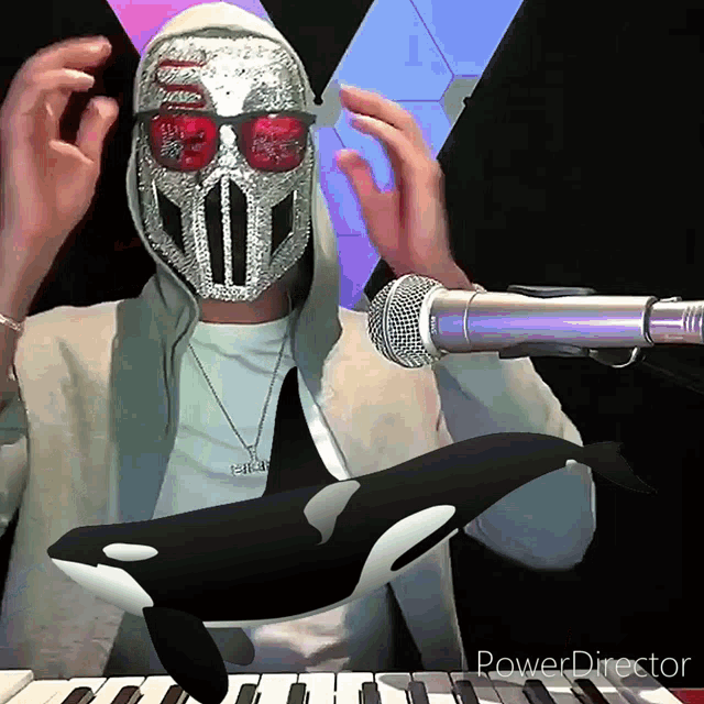 a man wearing a mask and sunglasses is playing a keyboard with a killer whale behind him