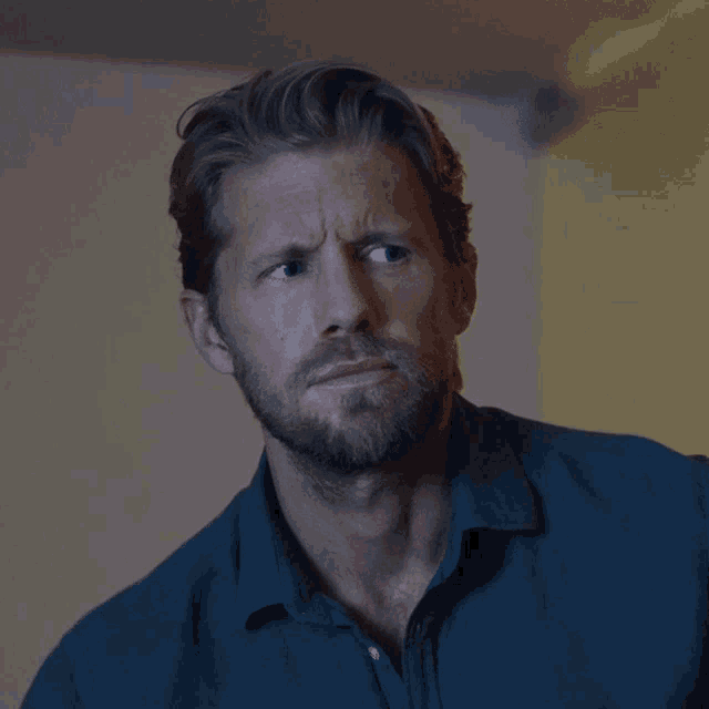 a man with a beard wearing a blue shirt is looking at the camera
